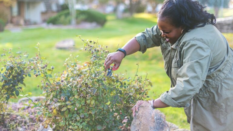 How Landscaping Can Impact Your Homeowners' Insurance